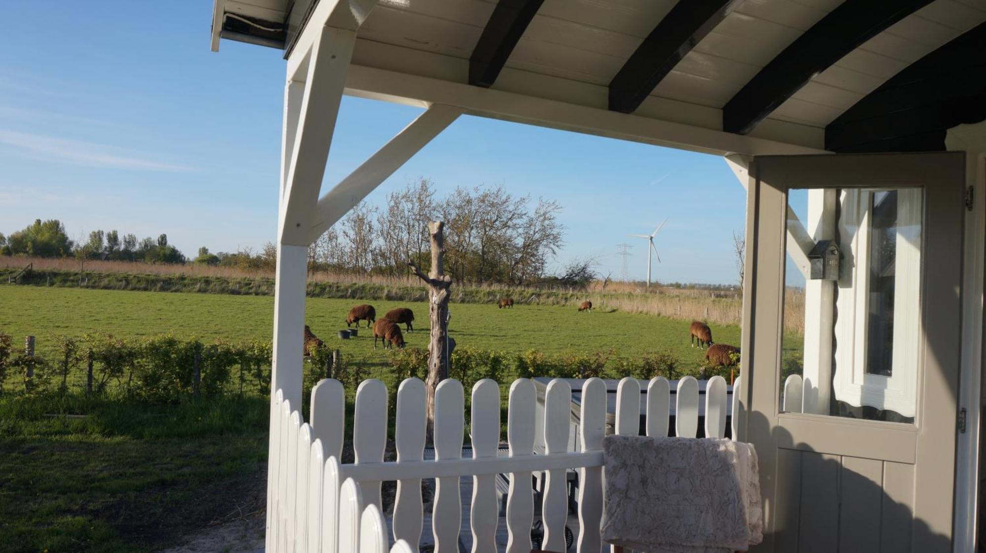 Bed And Breakfast Het Schapenlandje Waarland 외부 사진