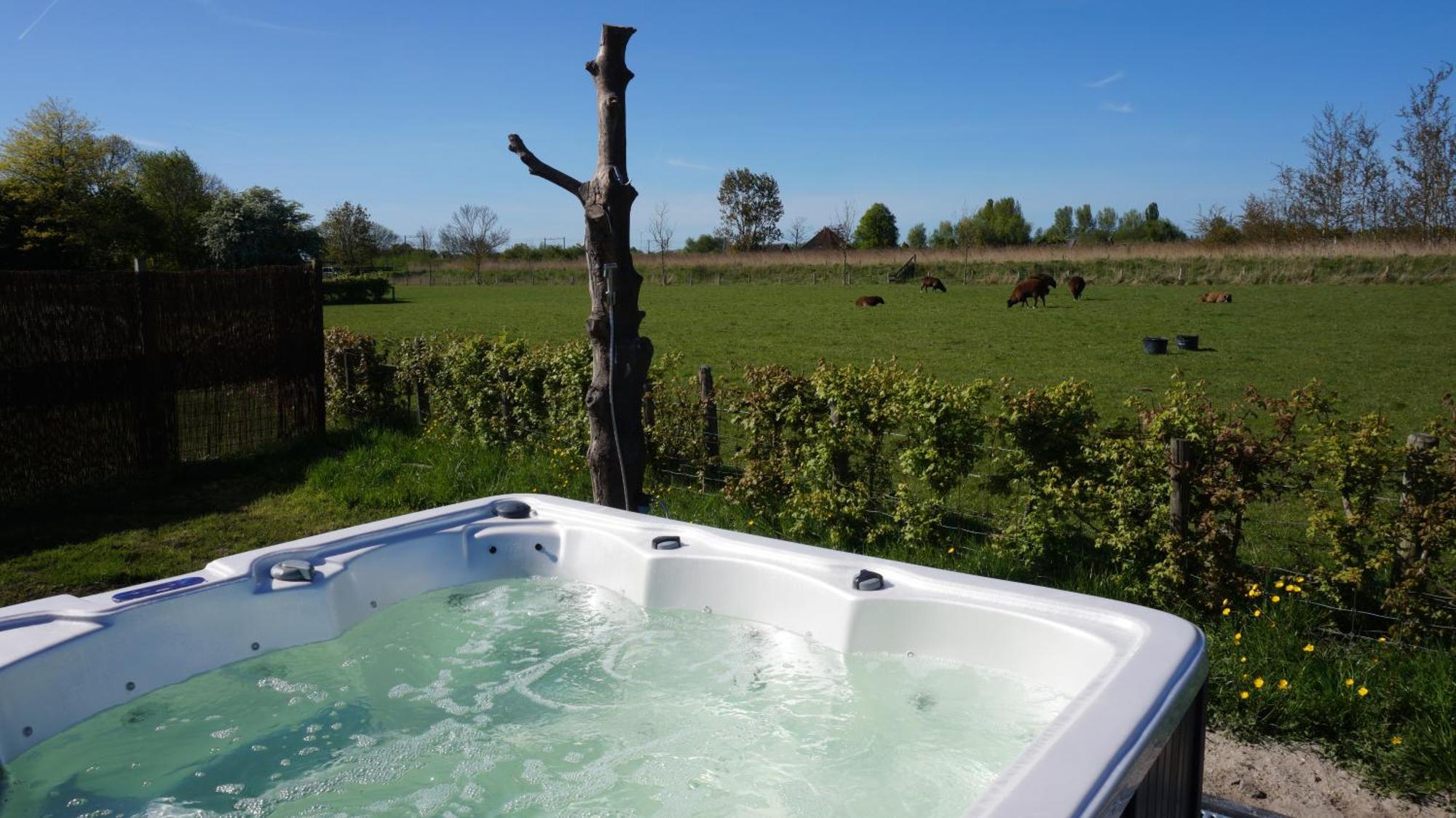 Bed And Breakfast Het Schapenlandje Waarland 외부 사진